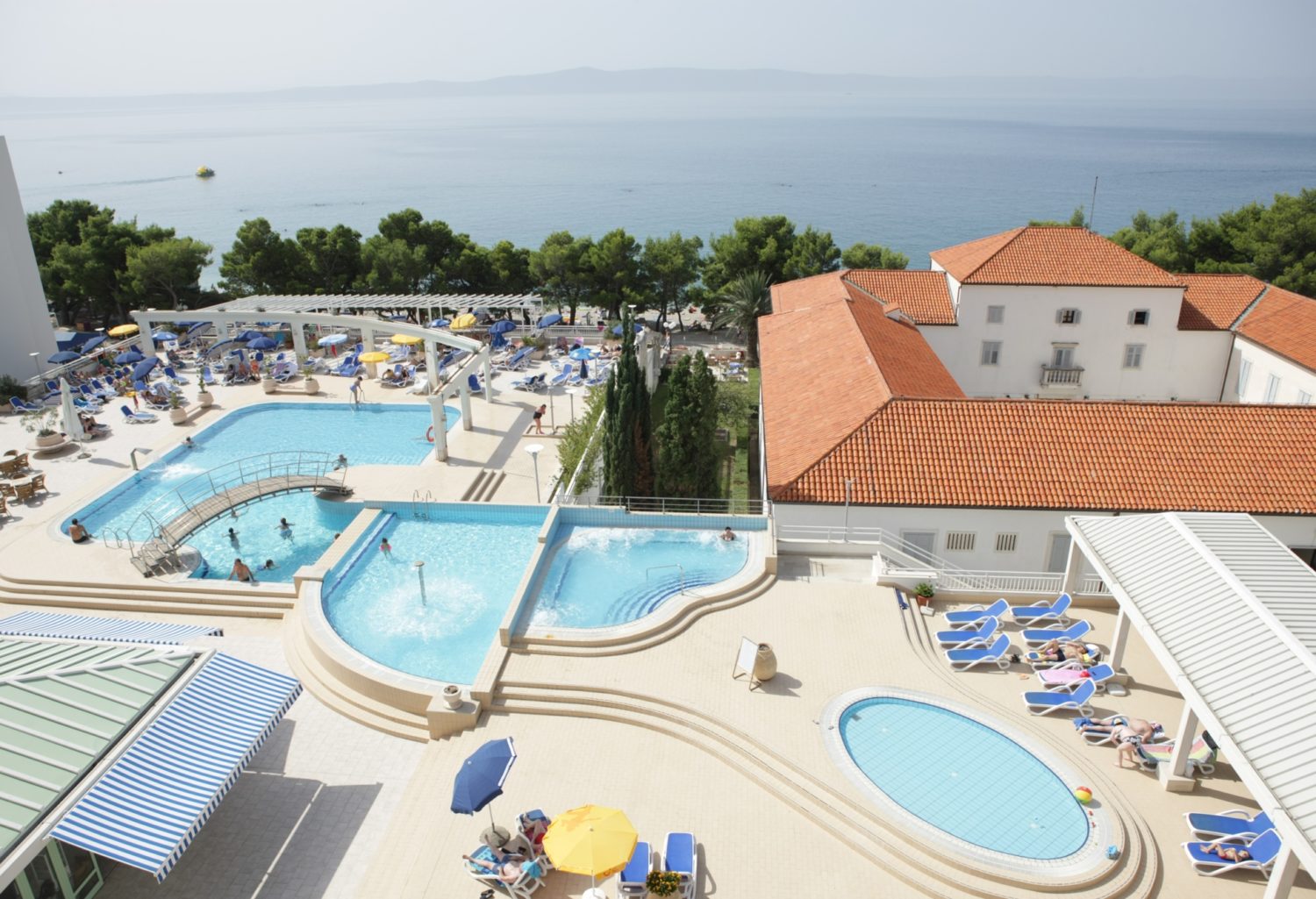 Alga_pool_2