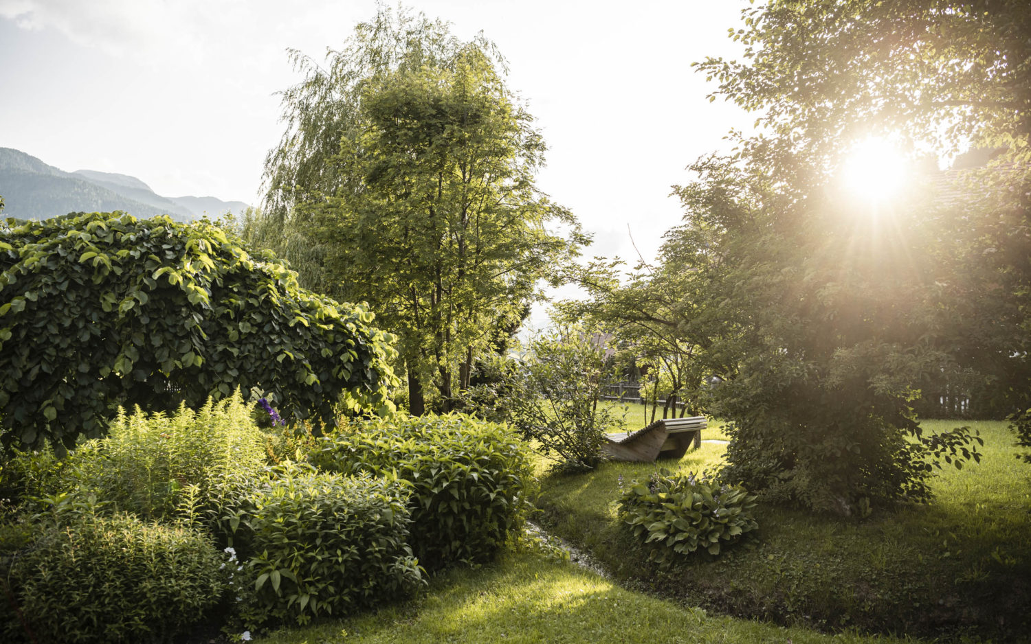 (C) Hannes Niederkofler_WEB-9066