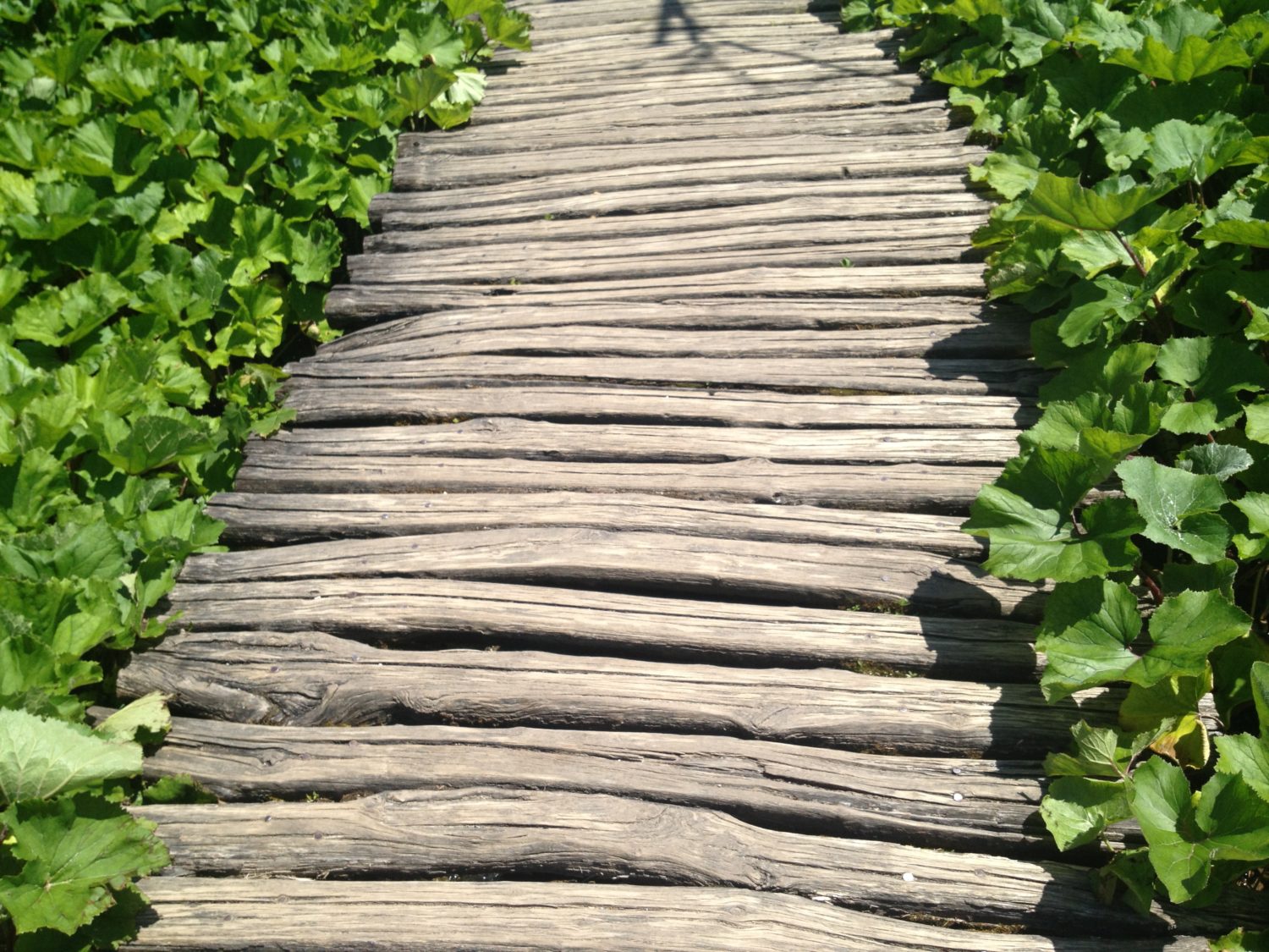 Plitvice 1