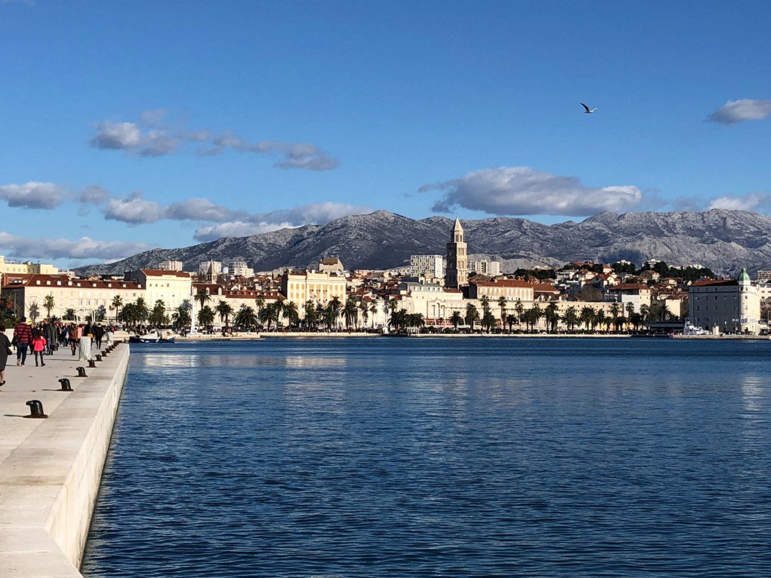 Split