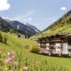 Hotel Almina