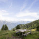 Meran und Umgebung