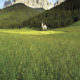 Eisacktal