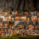 Trentino