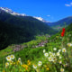 Trentino
