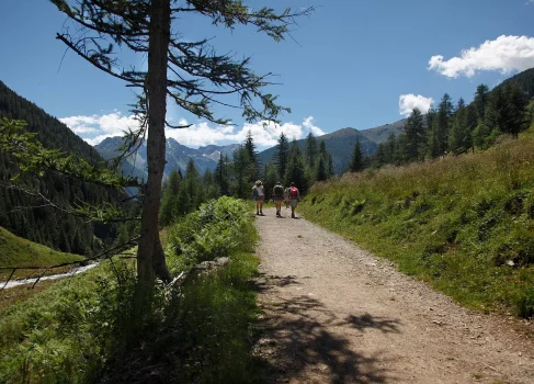Trentino