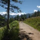 Trentino
