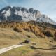Hotel Alpenrose***S