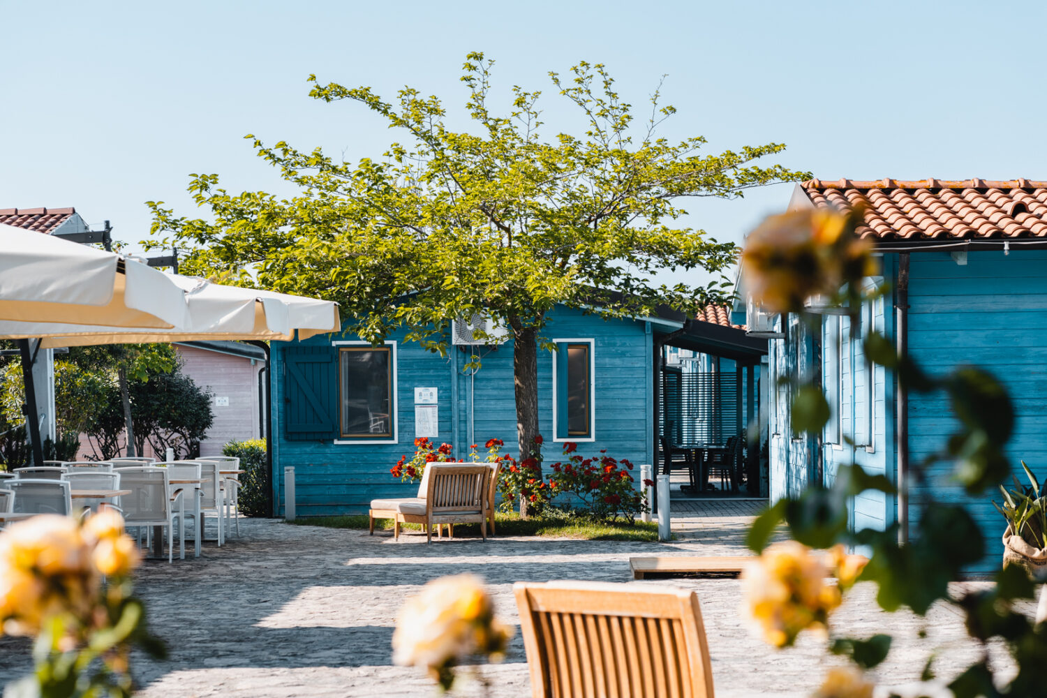 Angolo Garden-Pizzeria- Tv Room (3)