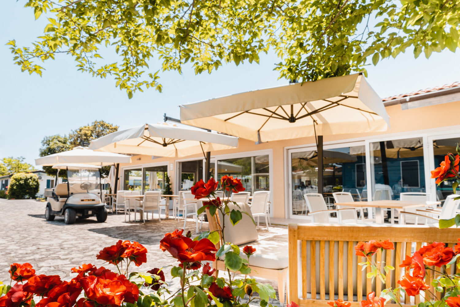 Angolo Garden-Pizzeria- Tv Room (6)