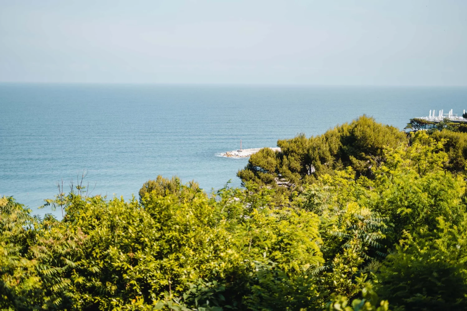 csm_DSC01343_410301947c