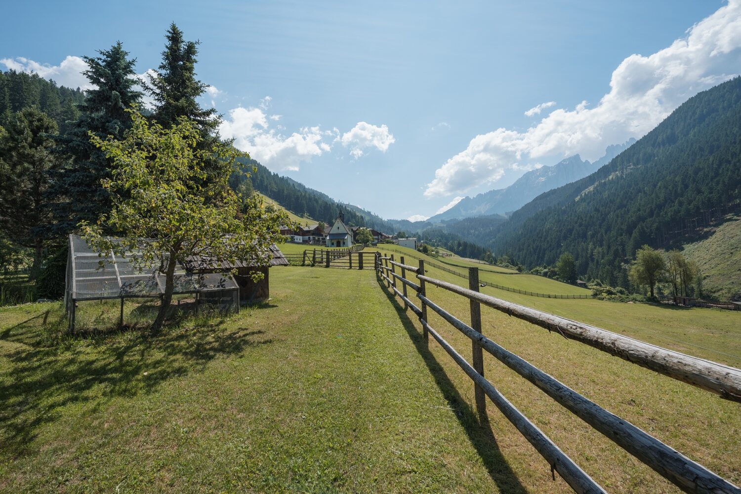 DSC03529.jpg_compressed