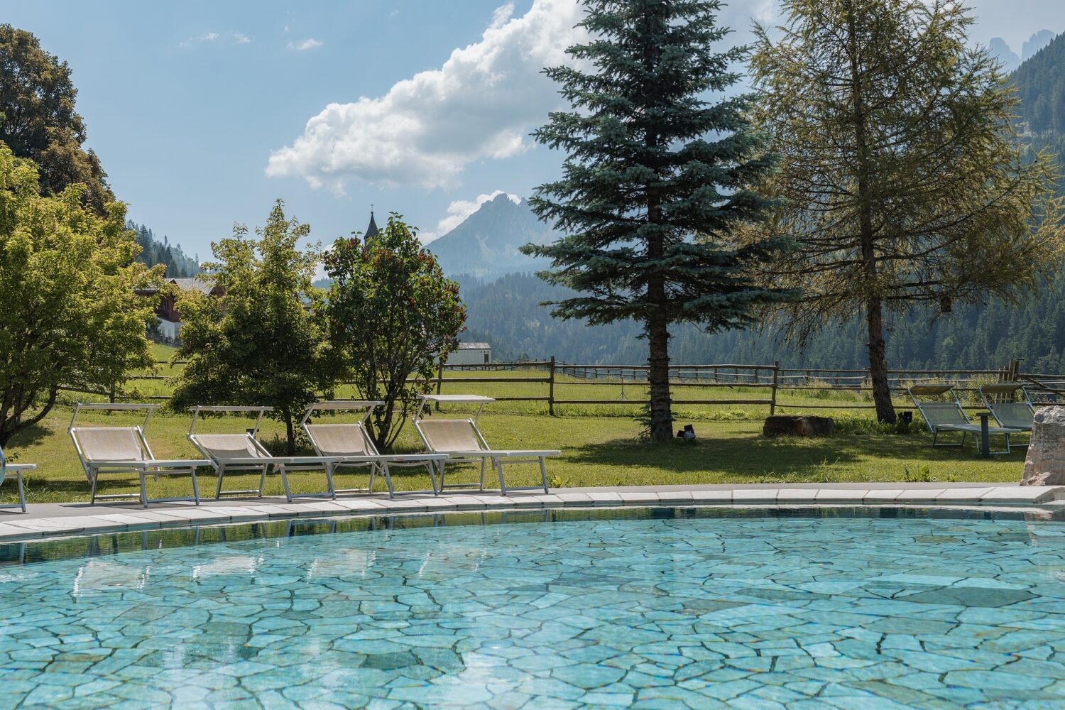 DSC03557.jpg_compressed