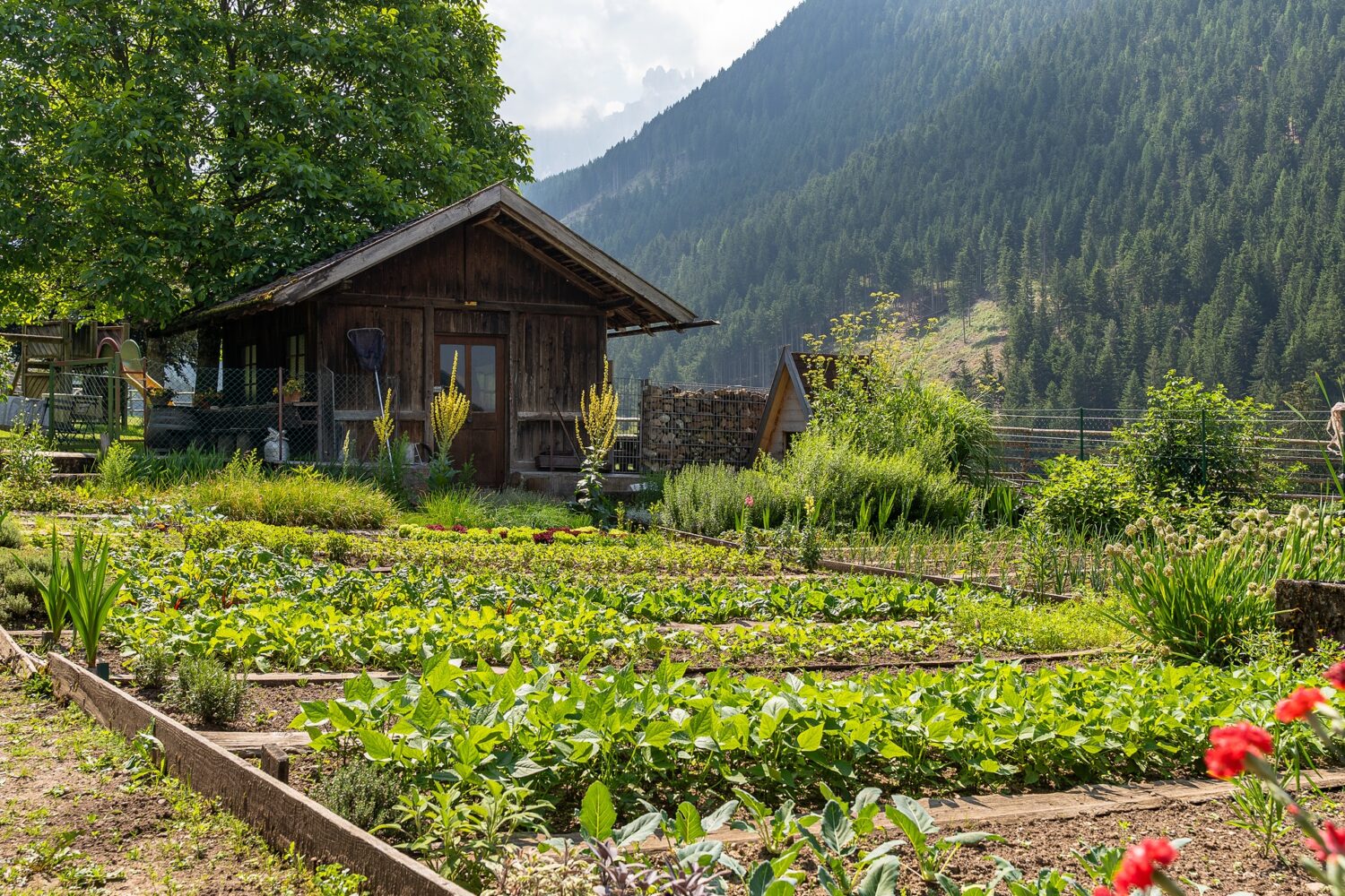 Post-13.jpg_compressed