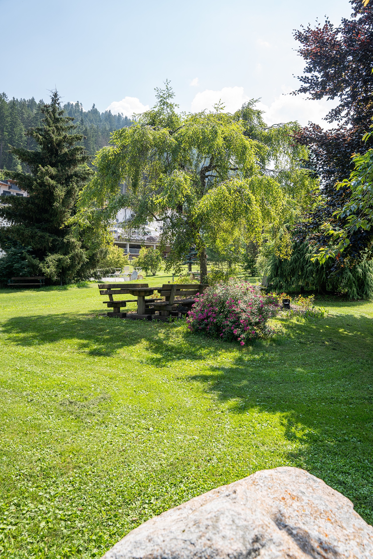 Post-20.jpg_compressed